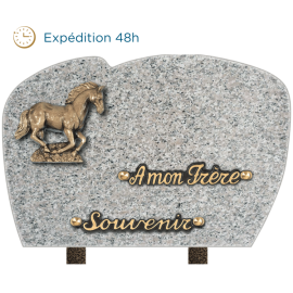 Plaque forme bronze cheval 20x30cm