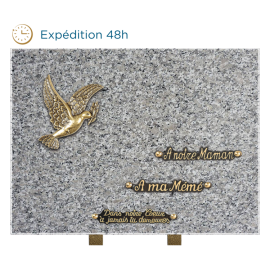 Plaque bronze colombe 30x40cm