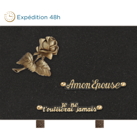 Plaque bronze rose 20x30cm