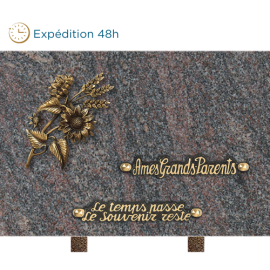 Plaque bronze bouquet champ 20x30cm