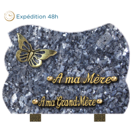 Plaque forme bronze papillon 18x25cm