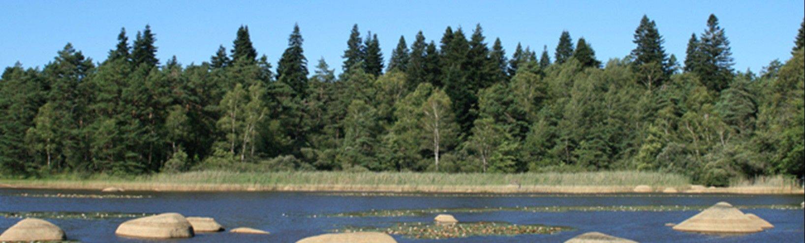 Lac du Sidobre - Terroir d'origine des granits France Tombale